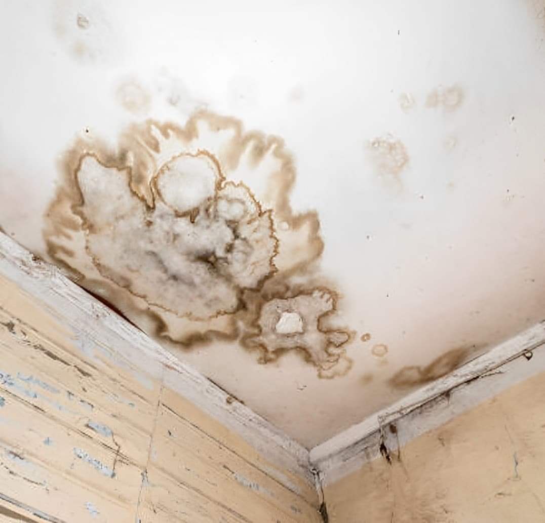 Ofrecemos soluciones personalizadas para problemas de humedad en sótanos, paredes, techos y cualquier otra área de tu propiedad en Estepona